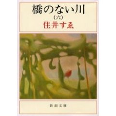橋のない川　６