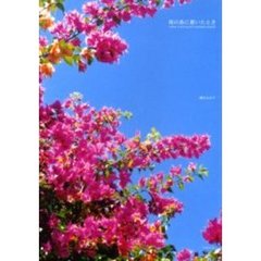 南の島に着いたとき