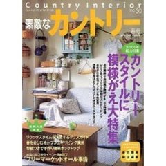 素敵なカントリー　Ｎｏ．３０（２００１春号）　カントリースタイルに模様がえ大特集