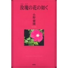【ハマ】瑰の花の如く