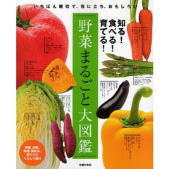 野菜まるごと大図鑑　知る！食べる！育てる！いちばん親切で、役に立ち、おもしろい