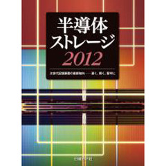 ’１２　半導体ストレージ