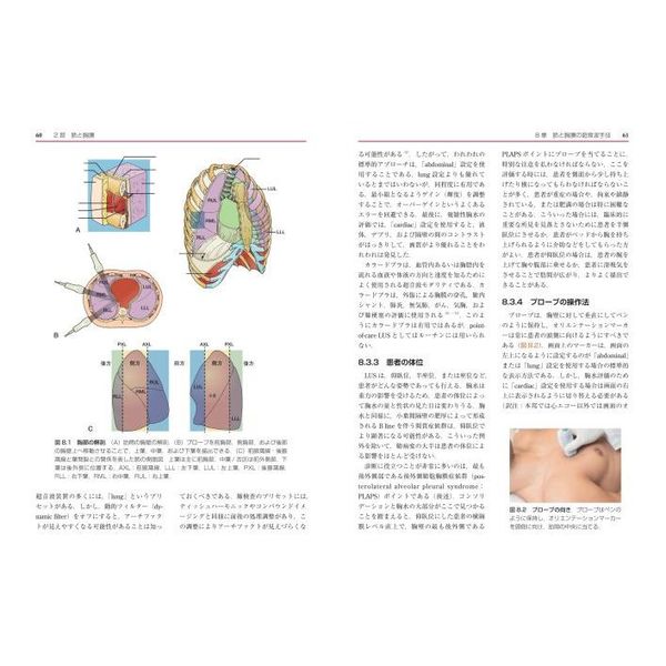 臨床疑問を解決するPoint-of-Care 超音波[Web 動画付] 臨床疑問を解決するPoint-of-Care 超音波［Web 動画付］ | 上松