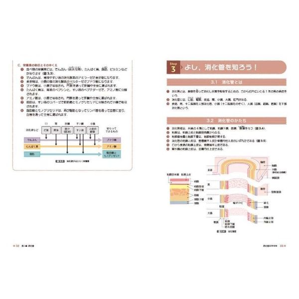 管理栄養士のためのイラスト解剖生理学 通販 セブンネットショッピング