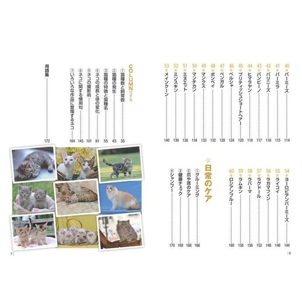 通販｜セブンネットショッピング　いちばんよくわかる猫種図鑑　日本と世界の６０種