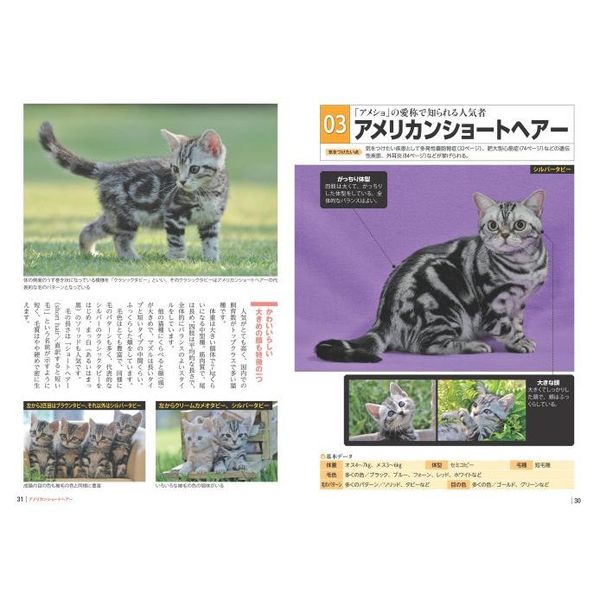 世界 コレクション の 猫 図鑑 人気 猫 種 ベスト 48