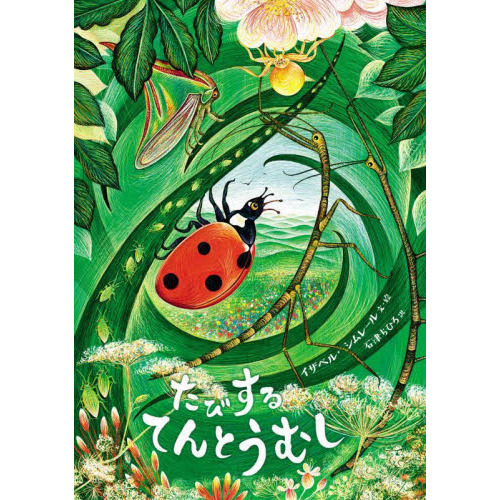 ֥ͥåȥåԥ󥰤㤨֤ӤƤȤषפβǤʤ1,980ߤˤʤޤ