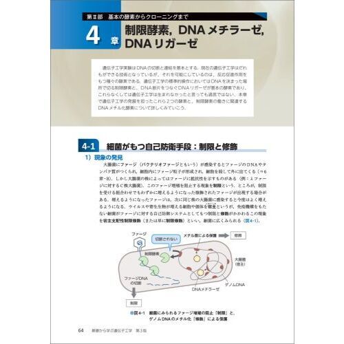 基礎から学ぶ遺伝子工学 第３版 通販｜セブンネットショッピング