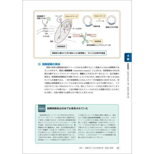 基礎から学ぶ遺伝子工学　第３版