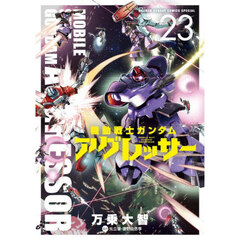 機動戦士ガンダムアグレッサー　２３