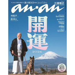 anan No.2478 Special Edition