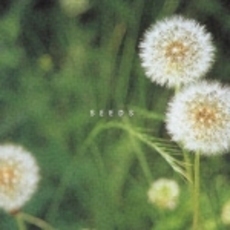 マインド・トランキリティー・シリーズ　胎教〔SEEDS〕