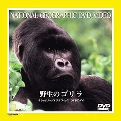 ナショナル・ジオグラフィック 野生のゴリラ（ＤＶＤ）