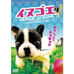 イヌゴエ（ＤＶＤ）