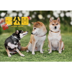 劇場版　柴公園（ＤＶＤ）