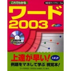 これでわかるワード２００３