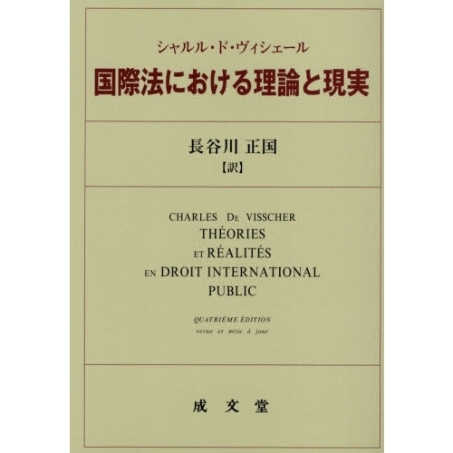 国際法における理論と現実