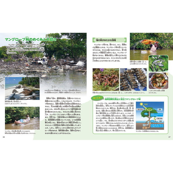 マングローブ生態系探検図鑑 日本にもある！亜熱帯のふしぎな森を