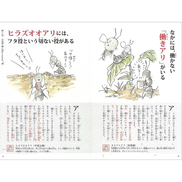 昆虫学大事典 原寸大!スーパー昆虫大事典 |本 | 通販 | Amazon