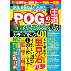 ＰＯＧの王道　ペーパーオーナーゲーム徹底攻略ガイド　２０２０～２０２１年版