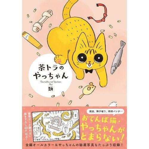 茶トラのやっちゃん 通販｜セブンネットショッピング