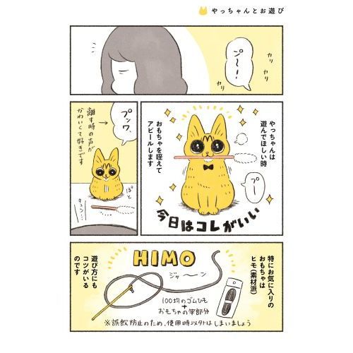 茶トラのやっちゃん 通販｜セブンネットショッピング