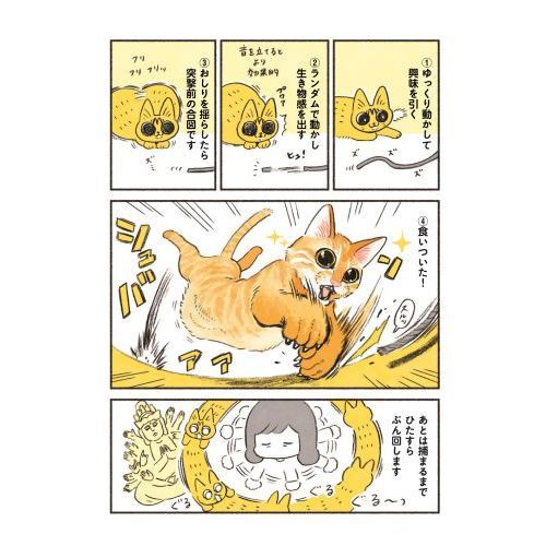 茶トラのやっちゃん 通販｜セブンネットショッピング