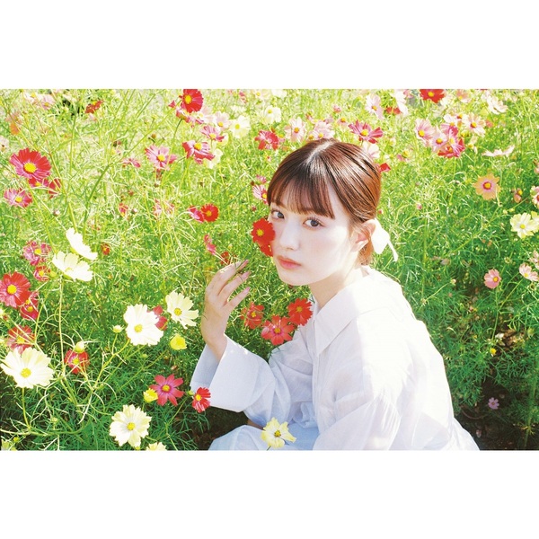 鶴嶋乃愛 1stフォトエッセイ 微睡む花の様に 豪華版【セブンネット限定