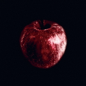 ֥ͥåȥåԥ󥰤㤨ROTTENAPPLEפβǤʤ2,475ߤˤʤޤ