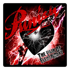 【PUNISH】THE PAIN OF ELECTRICITY ミニタオル