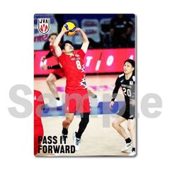 【バレーボール男子日本代表】メタルディスプレイ  ドイツ戦 01