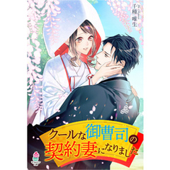 クールな御曹司の契約妻になりました