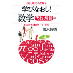 学びなおし！　数学　代数・解析編　なっとくする数学キーワード２９