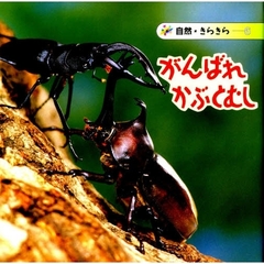 がんばれかぶとむし