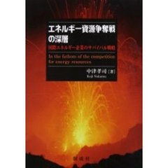 エネルギー資源争奪戦の深層　国際エネルギー企業のサバイバル戦略