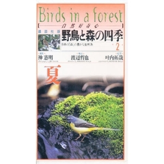 ビデオ　野鳥と森の四季　　　第２巻　夏の