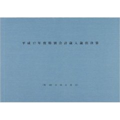 特別会計歳入歳出決算　平成１７年度
