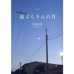 宙ぶらりんの月　詩集