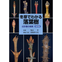 冬芽でわかる落葉樹　４１９種の検索　改訂版
