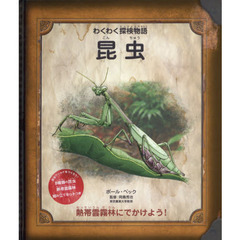 昆虫