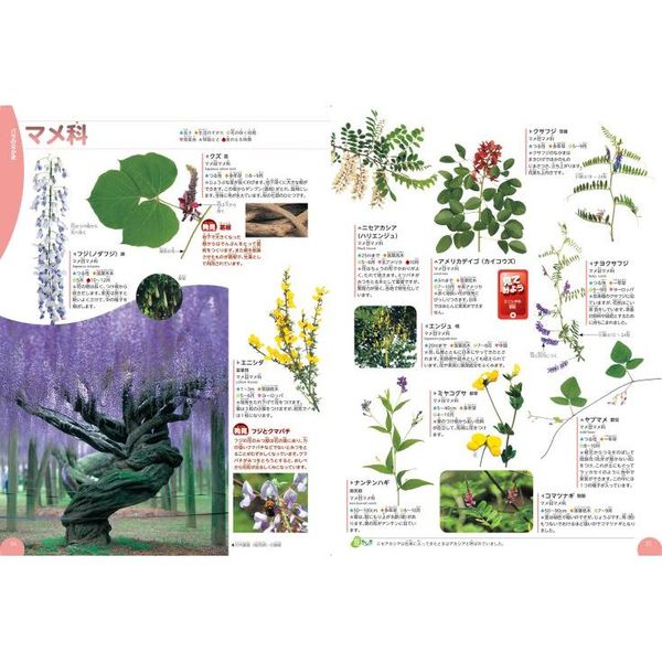 学研の図鑑LIVE 植物-