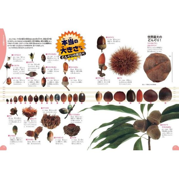 学研の図鑑LIVE 植物 通販｜セブンネットショッピング