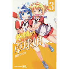 灼熱の卓球娘　３