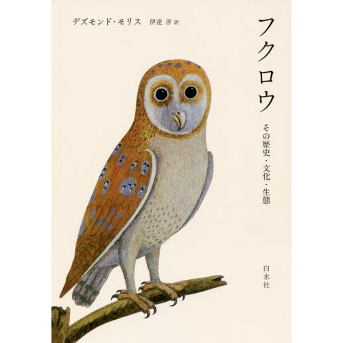 な*な様 メンフクロウ 鳥 残響 茶色 原画 1点物 (2024年12 な*な様 メンフクロウ 鳥 残響 茶色 原画 1点物 (2024年12