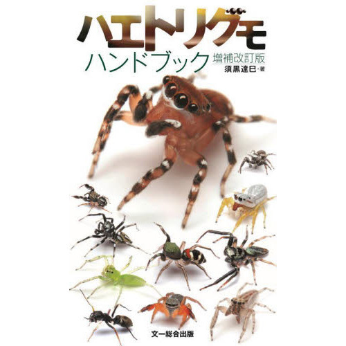 ֥ͥåȥåԥ󥰤㤨֥ϥȥꥰϥɥ֥åǡפβǤʤ2,200ߤˤʤޤ