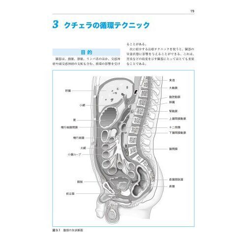 オステオパシーの内臓マニピュレーション 普及版 通販｜セブンネットショッピング