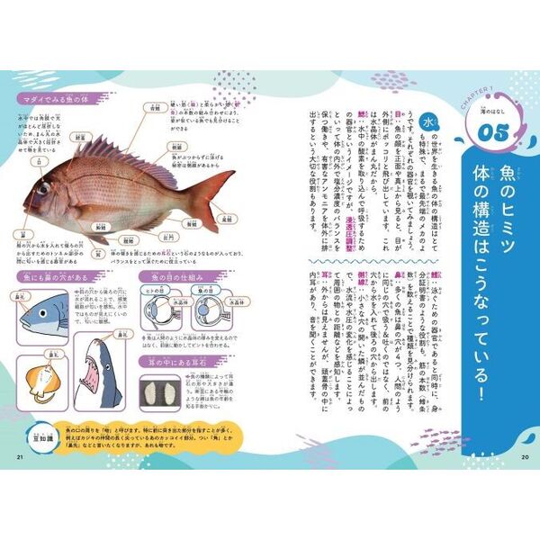 すごすぎる海の生物の図鑑 水の世界のひみつがわかる！ 通販｜セブン