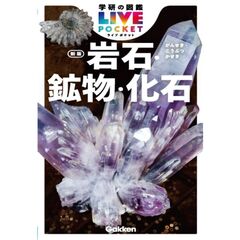岩石・鉱物・化石　新版