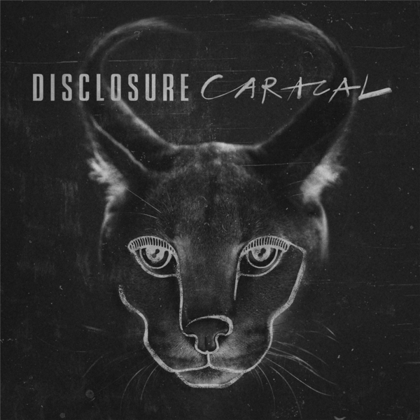 ֥ͥåȥåԥ󥰤㤨DISCLOSURE/CARACAL͢סˡפβǤʤ1,722ߤˤʤޤ