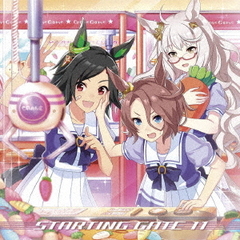 ゲーム『ウマ娘　プリティーダービー』STARTING　GATE　11＜セブンネット限定：ブロマイド＞